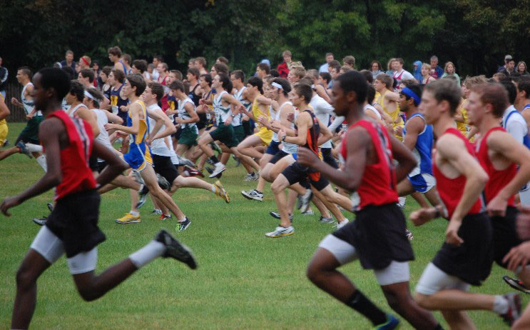 angelinvite10boysjv3