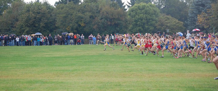 angelinvite10boysvar3